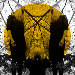Austra - Feel It Break (2011)