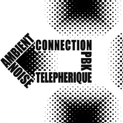 PBK & Telepherique - Noise-Ambient Ñonnection (2008)