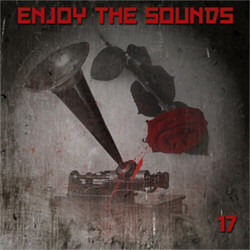 VA - Enjoy The Sounds 16 (2012)