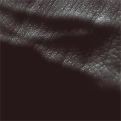 JK Flesh - Posthuman (2CD) (2012)