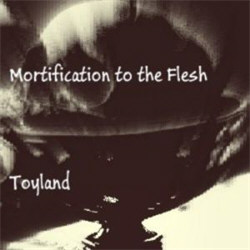 Mortification To The Flesh - Toyland (2012)