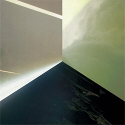 Next Life - Artificial Divinity (2011)