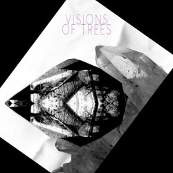 Visions Of Trees - Visions Of Trees (2012)