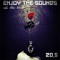 VA - Enjoy The Sounds 20.5 [All The Best] (2CD) (2012)