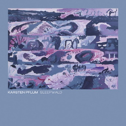 Karsten Pflum - Sleepwald (2013)