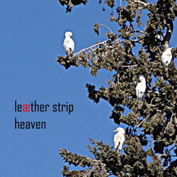 Leaether Strip - Heaven (Depeche Mode Cover) (2013)