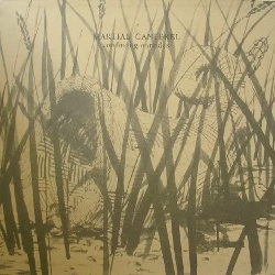 Martial Canterel - Confusing Outsides (2013)