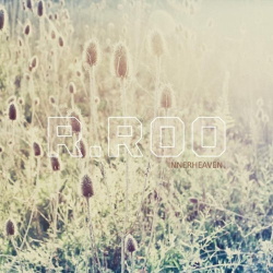 R.Roo - Mgnovenie (2012)