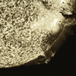 Roly Porter - Life Cycle Of A Massive Star (2013)