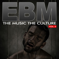 VA - The Music The Culture: EBM Vol. 2 (2012)