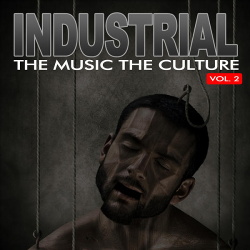 VA - The Music The Culture: Industrial Vol. 2 (2012)