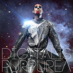 Digitalis Purpurea - Palindrome Shapes of Mold (2014)