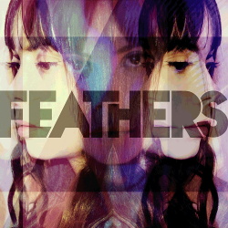 Feathers - Only One (2014)