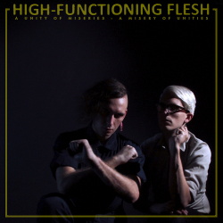 High-Functioning Flesh - A Unity of Miseries - A Misery of Unities (2014)