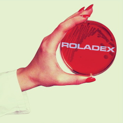 Roladex - Anthems for the Micro-Age (2014)