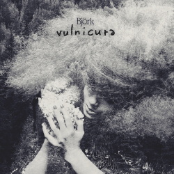 Björk - Vulnicura (2015)