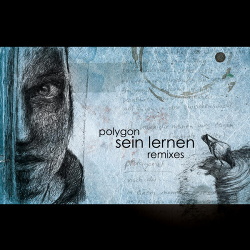Polygon - Sein Lernen (Remixes) (2015)