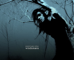 Autumn's Grey Solace - Windumaera (2016)