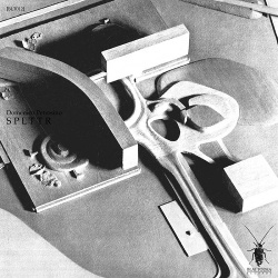 Domenico Petrosino - S P L T T R (2017)