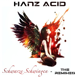Hanz Acid - Schwarze Schwingen - The Remixes (2016)