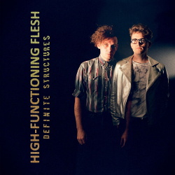 High-Functioning Flesh ‎- Definite Structures (2015)