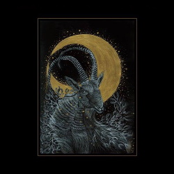 Monocube - The Rituals (2016)