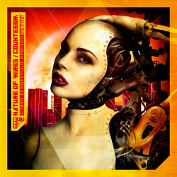 Nature Of Wires / CountessM - Cyber Rendezvous [Remixed] (2016)