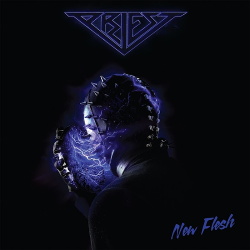 Priest - New Flesh (2017)