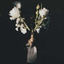 Qual - Cupio Dissolvi (2017)