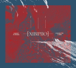 Raison D'être & Troum - XIBIPIIO. In And Out Of Experience (2017)