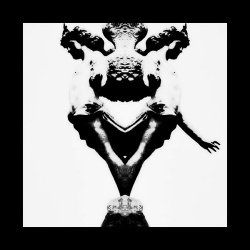 Restive Plaggona - The Burned Letter (2017)