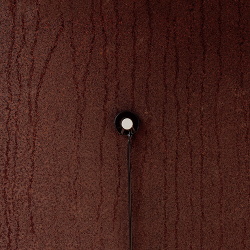 Swarm Intelligence - Rust (2015)