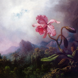 Albion - Skarselden (2018)