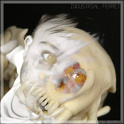 Industrial Ferret - Give You 800. Can't Give Me 10 (EP) (2018)