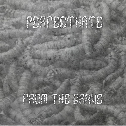 PerfectHate - From The Grave (EP) (2018)