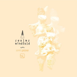 Realmz - Mindfold (2018)