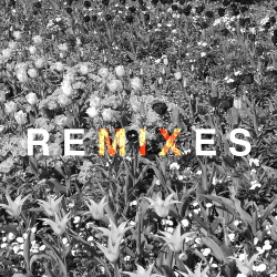 Rename - Reciprocal (Remixes) (2017)