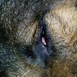 Shhh... - I, Of the Storm (2018)