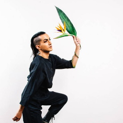 Bustié - Birds Of Paradise (2019)