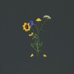 Fredrik Carlsson - Voices (2019)