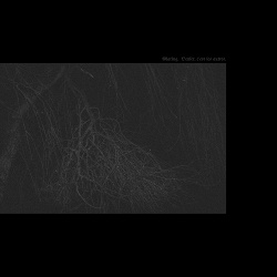 Glaring - L'enfer, c'est les autres (2019)