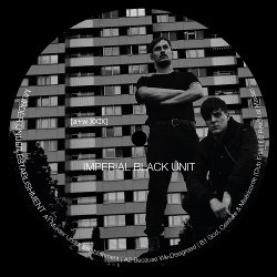 Imperial Black Unit - Murder Under Establishment (2019)
