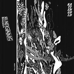 Katzengold - Silverfishes (2019)