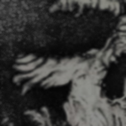 Le Moderniste - From The Blind Past (2019)