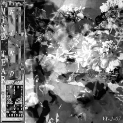 Mind Teardown - Find (2019)