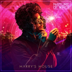 Nature of Wires - Harry's House (Single) (2019)