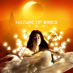 Nature of Wires - Try (EP) (2019)
