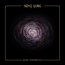 Secret Shame - Dark Synthetics (2019)