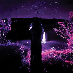 Sidewalks And Skeletons - Entity (2019)