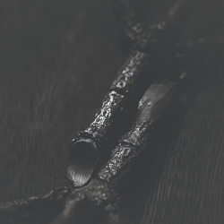Trepaneringsritualen - ᛉᛦ - Algir; Eller Algir I Merkstave (2019)